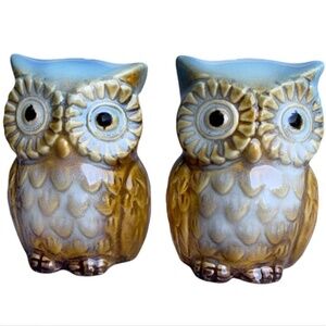 Blue Owl Salt and Pepper Shaker Set Glazed Ceramic Owl Decor 2 Piece Set